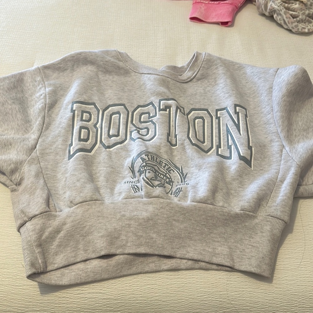 Gray crop Boston sweatshirt